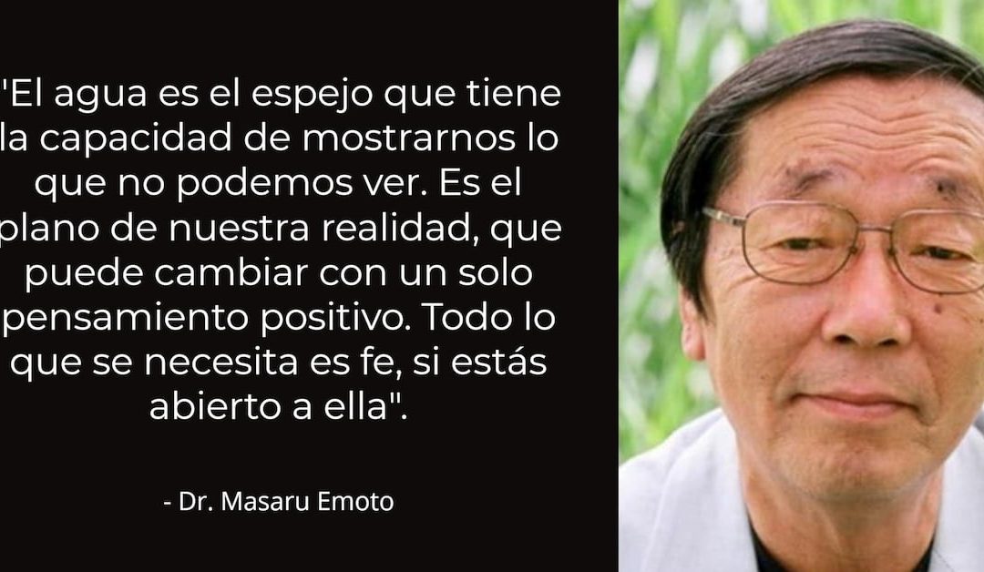 Una cita del Dr. Masaru Emota, que inventó el experimento del arroz